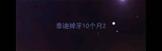 泰迪掉牙10个月