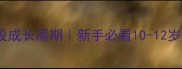 金毛犬全阶段成长周期新手必看10-12岁健康养护指南
