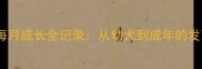 拉布拉多每月成长全记录从幼犬到成年的发育关键期