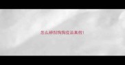 怎么辨别狗狗疫苗真假