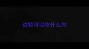 边牧可以吃什么肉