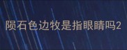 陨石色边牧是指眼睛吗