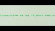 拉布拉多白毛护理全攻略狗粮洗澡日常习惯如何选附真实对比图