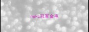 ngkc冠军金毛