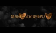 郑州好一点的宠物店