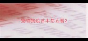 宠物狗疫苗本怎么看