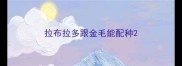 拉布拉多跟金毛能配种