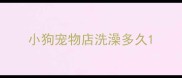 小狗宠物店洗澡多久