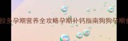 拉布拉多孕期营养全攻略孕期补钙指南狗狗孕期食谱