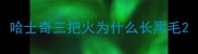 哈士奇三把火为什么长黑毛