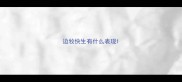 边牧快生有什么表现