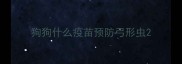 狗狗什么疫苗预防弓形虫