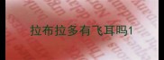 拉布拉多有飞耳吗