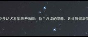 4个月拉布拉多幼犬科学养护指南新手必读的喂养训练与健康管理全攻略