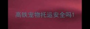 高铁宠物托运安全吗