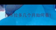 拉布拉多几个月如何看