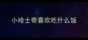 小哈士奇喜欢吃什么饭