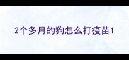 2个多月的狗怎么打疫苗