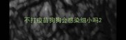 不打疫苗狗狗会感染细小吗