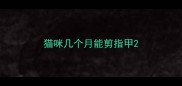 猫咪几个月能剪指甲