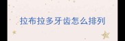 拉布拉多牙齿怎么排列