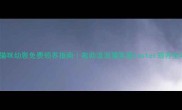 昆明猫咪幼崽免费领养指南救助流浪猫家庭foster领养全攻略