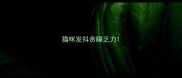 猫咪发抖贪睡乏力