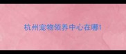 杭州宠物领养中心在哪