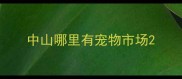 中山哪里有宠物市场