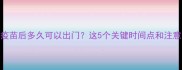 狗狗接种疫苗后多久可以出门这5个关键时间点和注意事项全