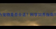 哈士奇作为宠物是否合适科学饲养指南与常见误区