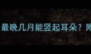 狼犬立耳黄金期最晚几月能竖起耳朵附科学护理全攻略