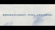 宠物美容师必学5大防咬技巧守护安全让美容过程更轻松