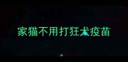 家猫不用打狂犬疫苗