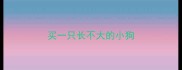 买一只长不大的小狗