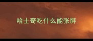 哈士奇吃什么能张胖