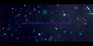 金毛公母毛长差异全公犬母犬毛发养护指南