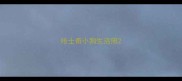 哈士奇小狗生活照