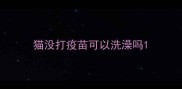 猫没打疫苗可以洗澡吗