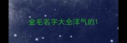 金毛名字大全洋气的