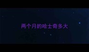 两个月的哈士奇多大