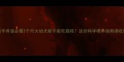 新手养宠必看2个月大幼犬能不能吃荔枝这份科学喂养指南请收好