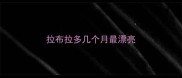 拉布拉多几个月最漂亮