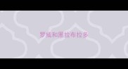 罗威和黑拉布拉多