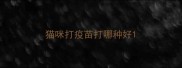猫咪打疫苗打哪种好