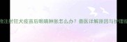 宠物注射狂犬疫苗后眼睛肿胀怎么办兽医详解原因与护理指南
