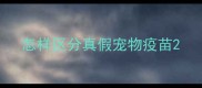 怎样区分真假宠物疫苗