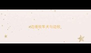 边境牧羊犬与边牧