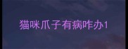 猫咪爪子有病咋办