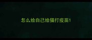 怎么给自己给猫打疫苗